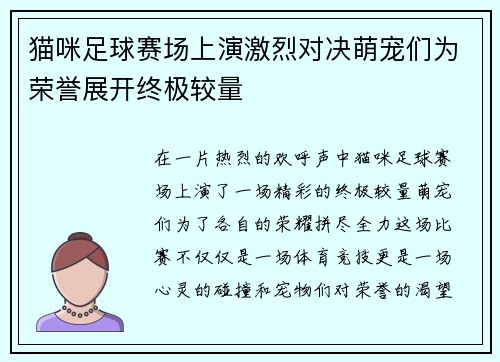 猫咪足球赛场上演激烈对决萌宠们为荣誉展开终极较量