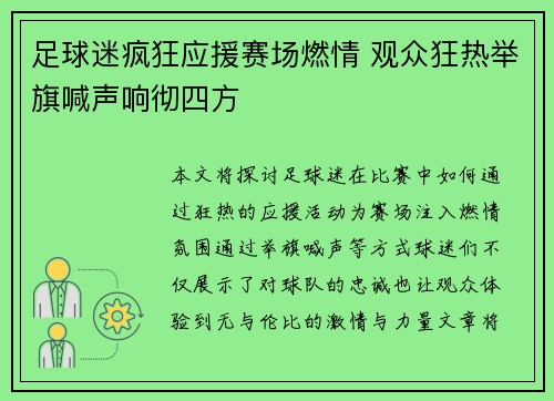 足球迷疯狂应援赛场燃情 观众狂热举旗喊声响彻四方