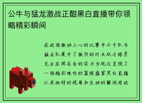 公牛与猛龙激战正酣黑白直播带你领略精彩瞬间