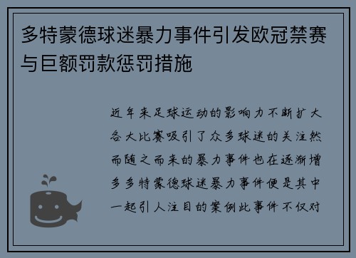 多特蒙德球迷暴力事件引发欧冠禁赛与巨额罚款惩罚措施