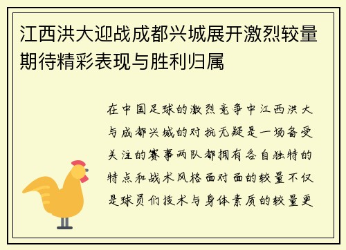 江西洪大迎战成都兴城展开激烈较量期待精彩表现与胜利归属